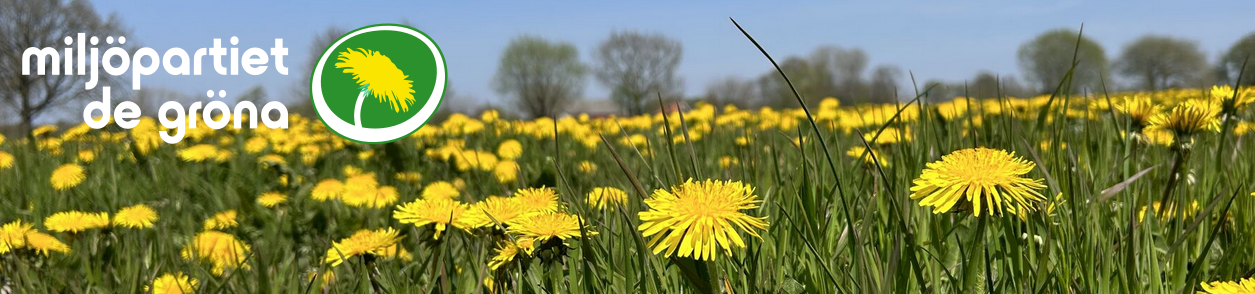 Miljöpartiet det gröna i Hörby